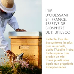 Abeille Royale