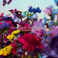 Absolus Allegoria Florabloom