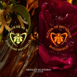 Absolus Allegoria Rose Amira