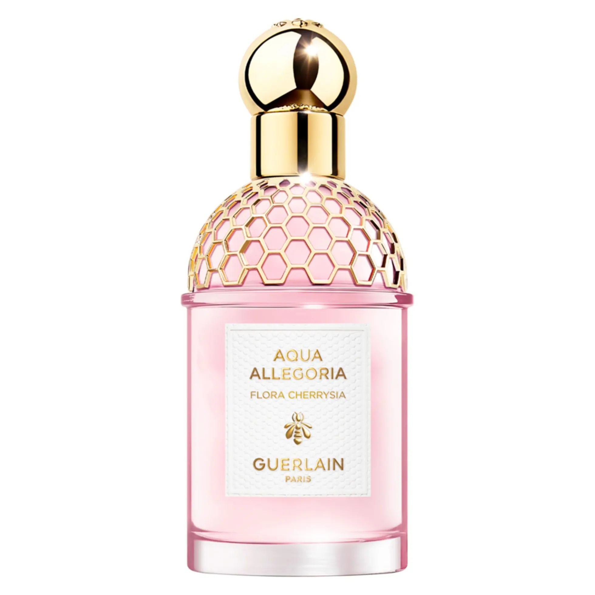 Aqua Allegoria