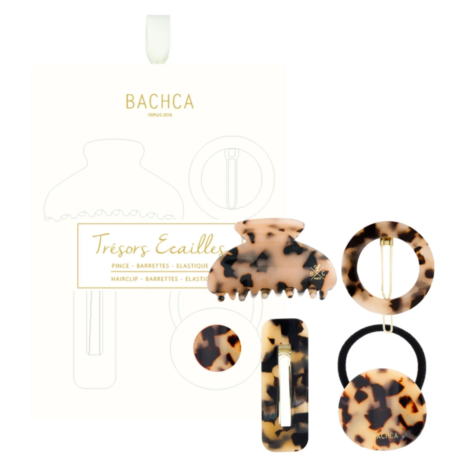 Coffret Trésors Écailles