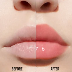 Dior Addict Lip Maximizer
