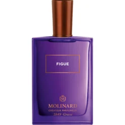 Figue