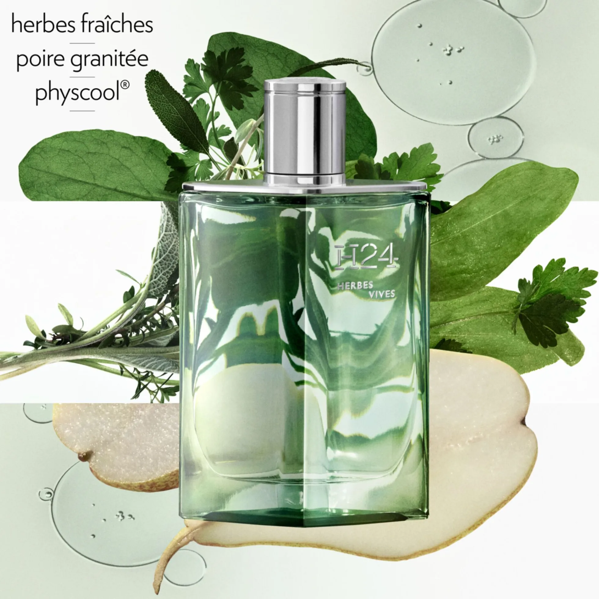 H24 Herbes Vives