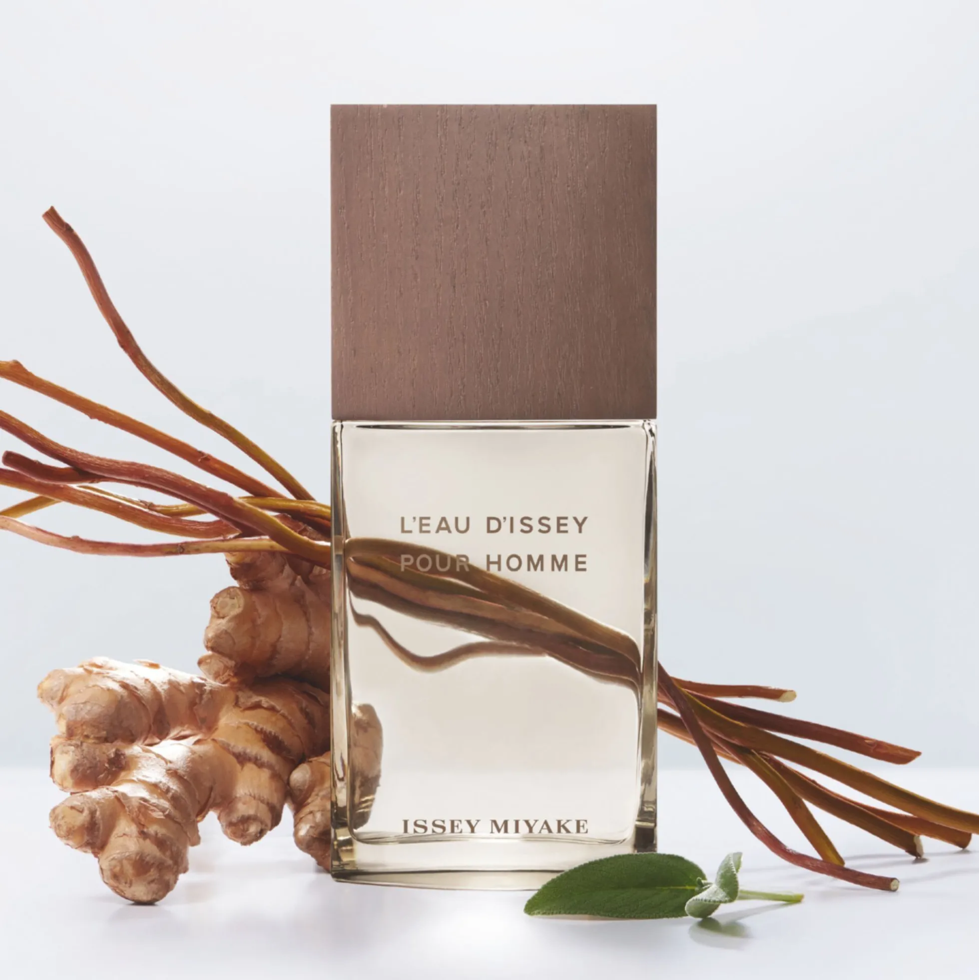 L'eau D'issey Pour Homme Vétiver