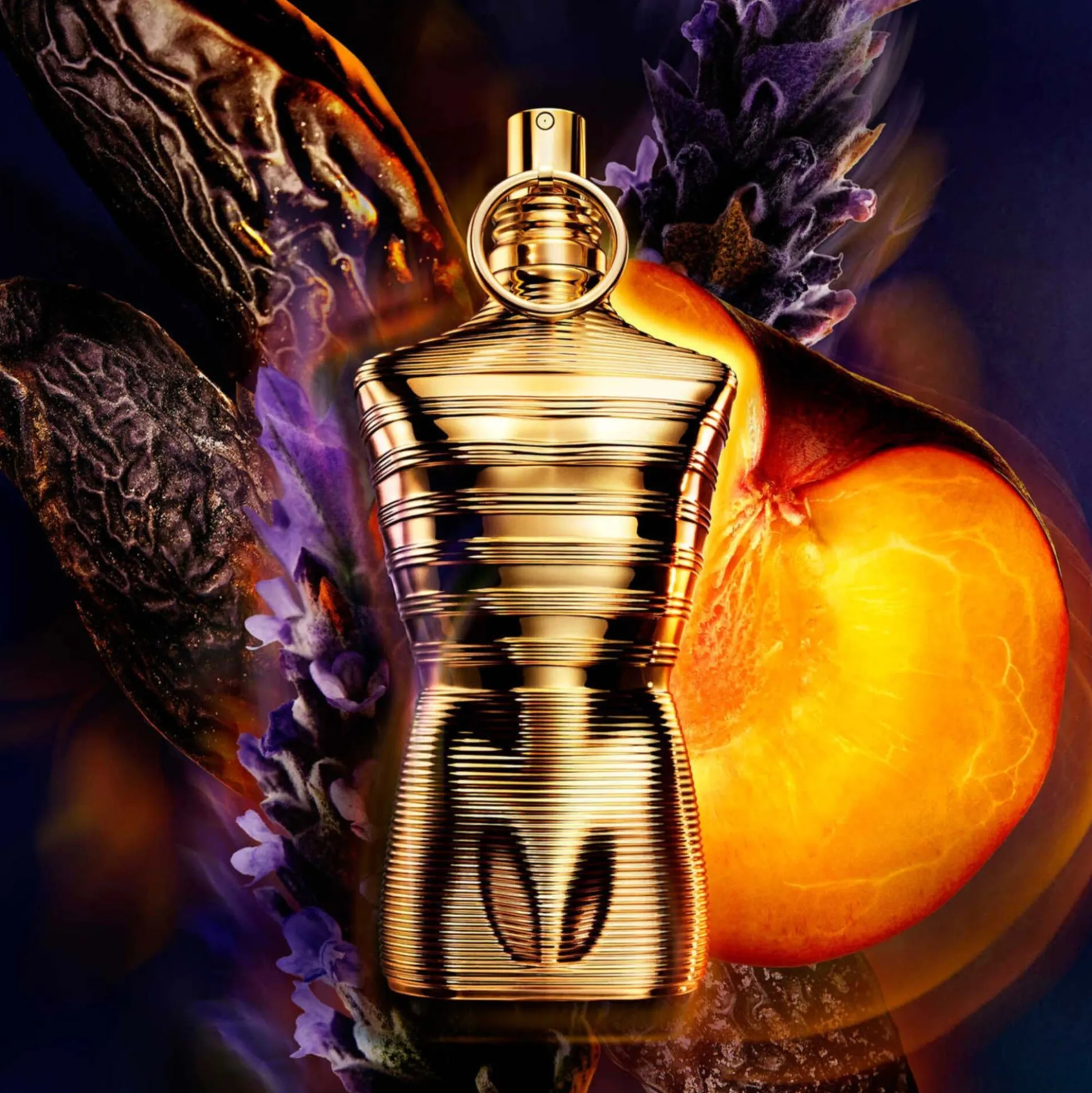 Le Male Elixir Absolu