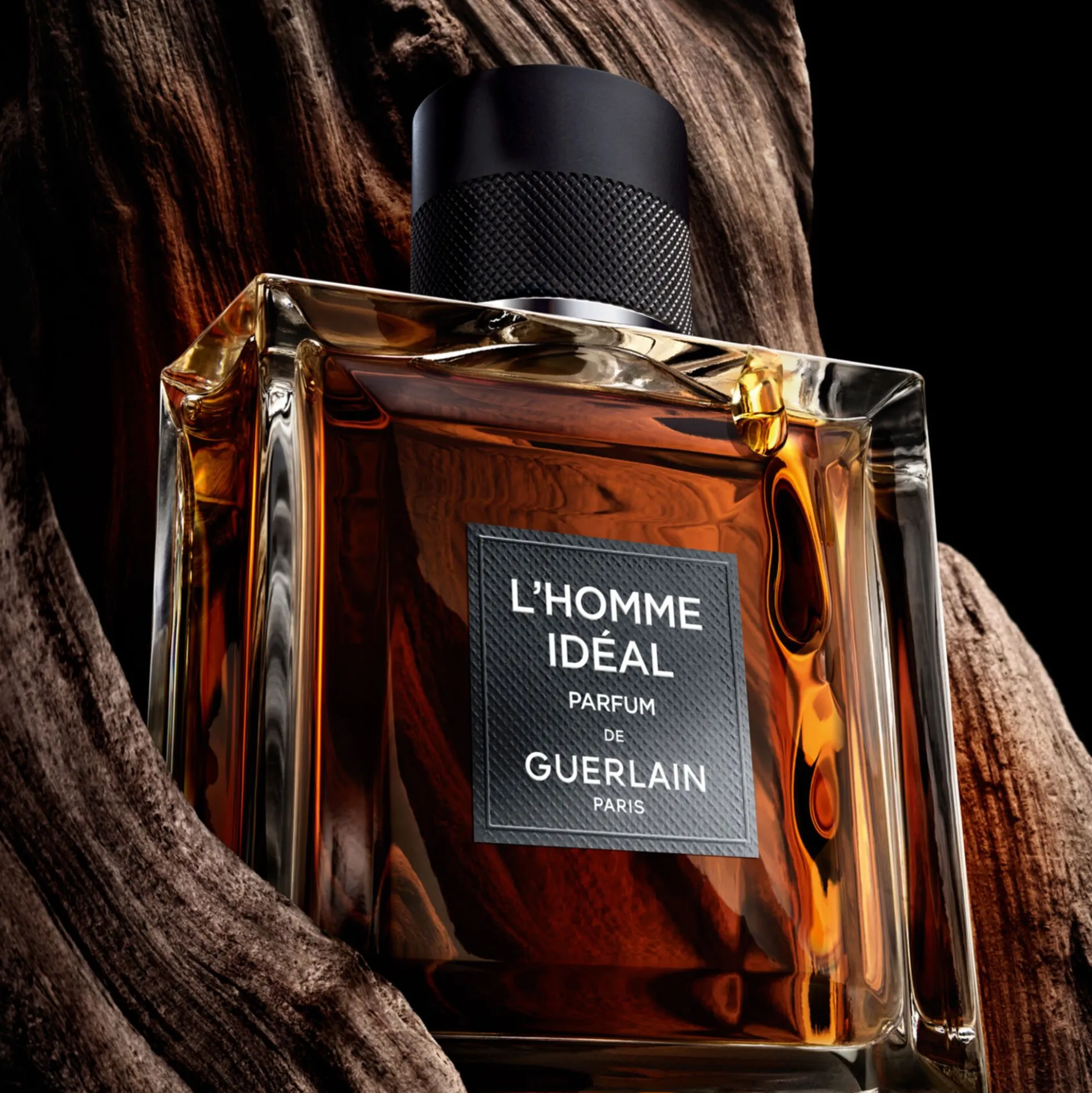 L'homme Idéal