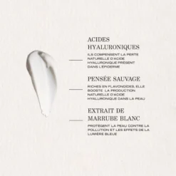 Lisse