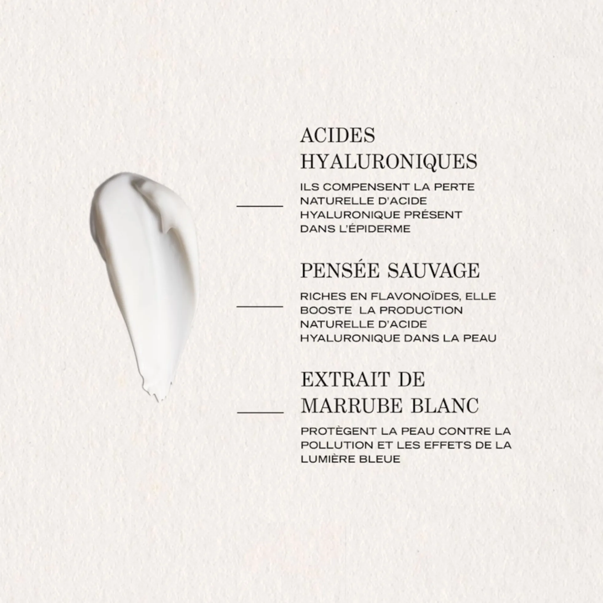 Lisse